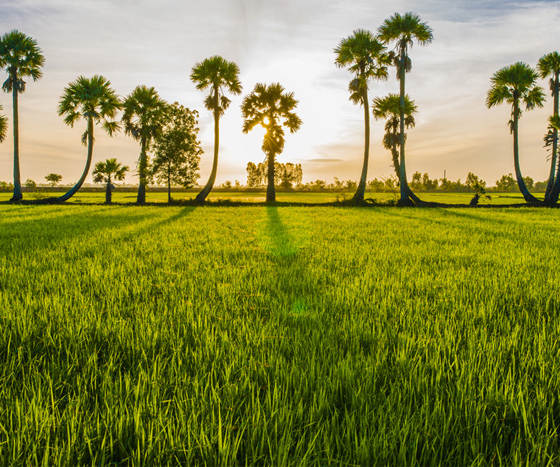 SA ĐÉC - CHÂU ĐỐC - HÀ TIÊN 3N2Đ